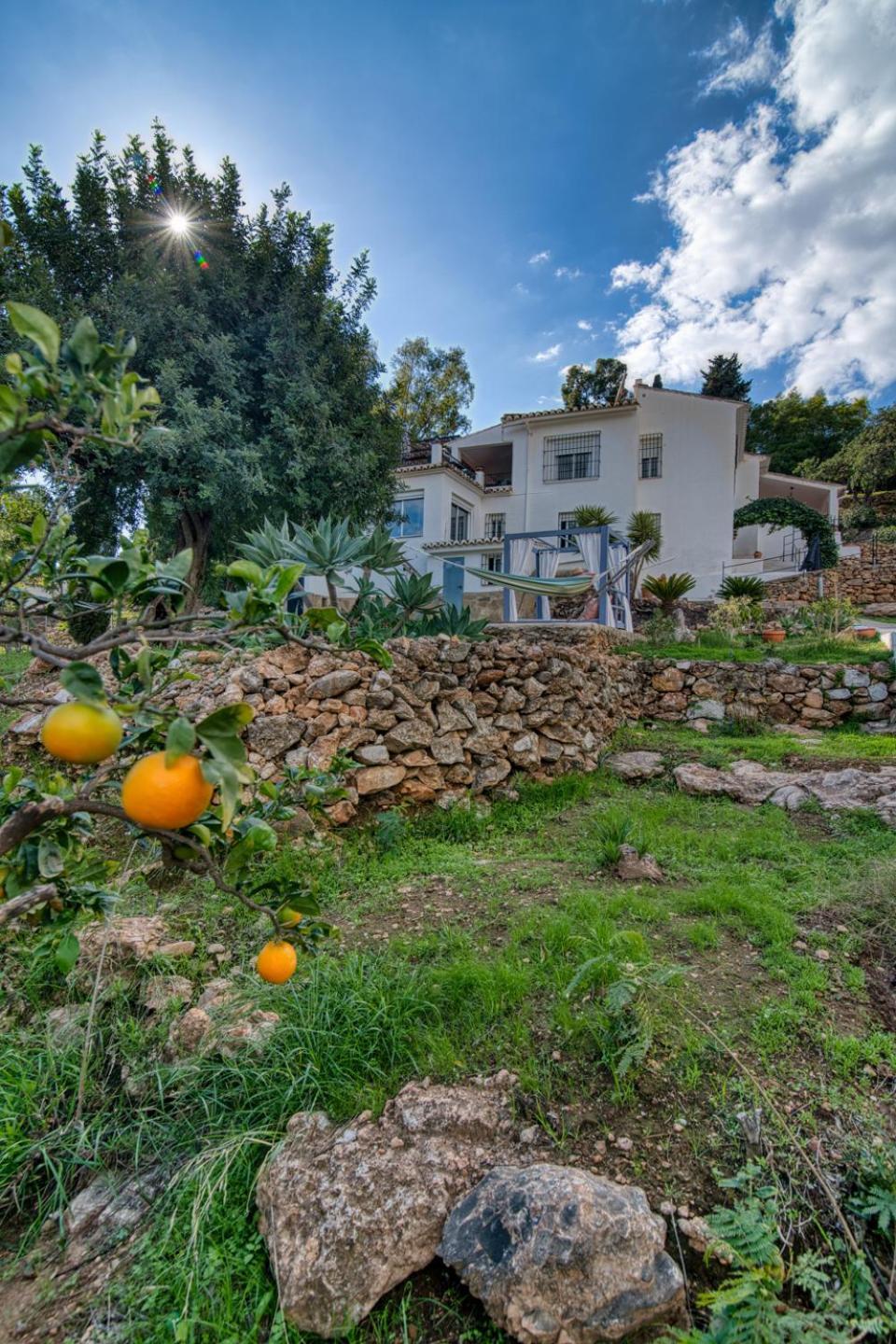 Villa Morera Bed & Breakfast Frigiliana Εξωτερικό φωτογραφία